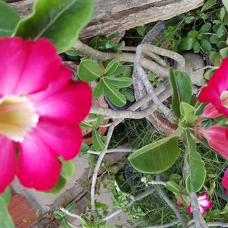 סוקותאי Chuan Chom Resort מראה חיצוני תמונה